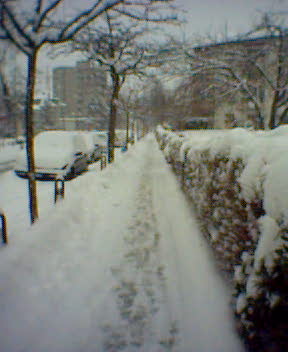 Endlich mal richtig Schnee