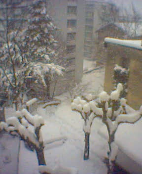 Comeback of the winter